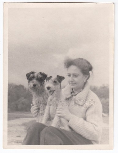 1960s cute couple fox - couple,