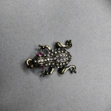 Red Eye Tree Frog Rhinestone