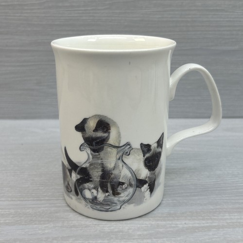 Roy kirkham siamese - roy,
