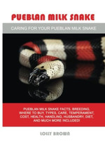 Pueblan Milk Snake: Pueblan