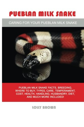 Pueblan milk snake - pueblan,
