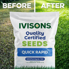 Fast Growing Grass Seed | New