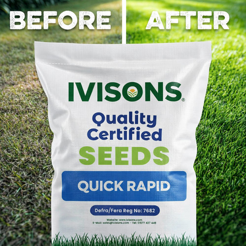 Fast growing grass - |, new