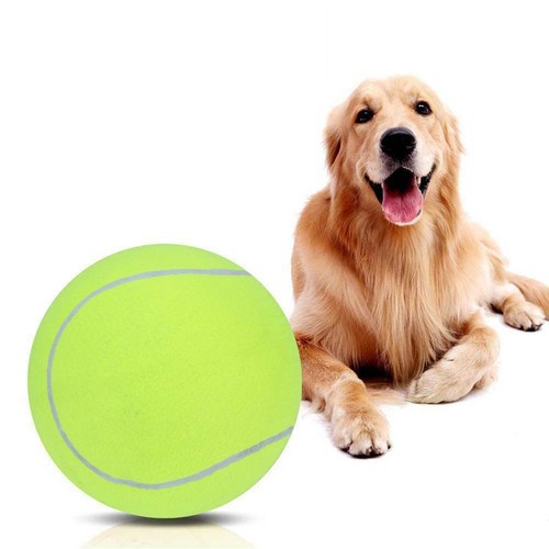 24cm puppy toys large tennis - toys,