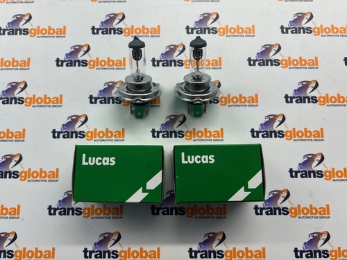 Quartz halogen bulb set - bulb,