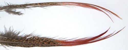 Veniard golden pheasant red - veniard,