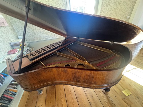 Schiedmayer grand piano - grand,