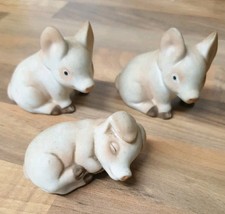 Piggie Collectables Ceramic