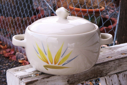 Vintage winfield bird - vintage, of
