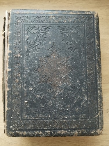 Illustrated family holy - illustrated, bible