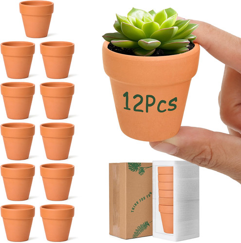 T4u 5cm terracotta plant - t4u,