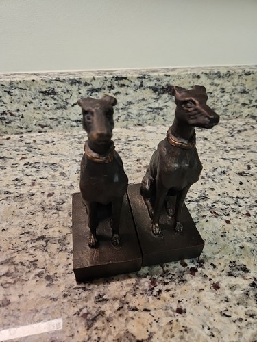 Bronze whippet greyhound dog - whippet,