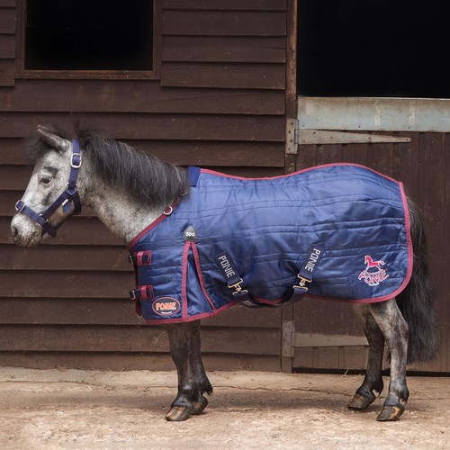 Gallop ponie shetland - gallop,