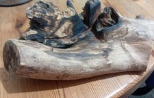 Indonesian Suar Wood Root