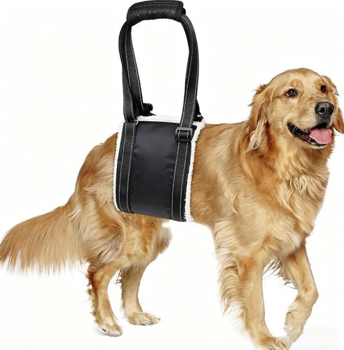 Dog lift harness for large - dog,