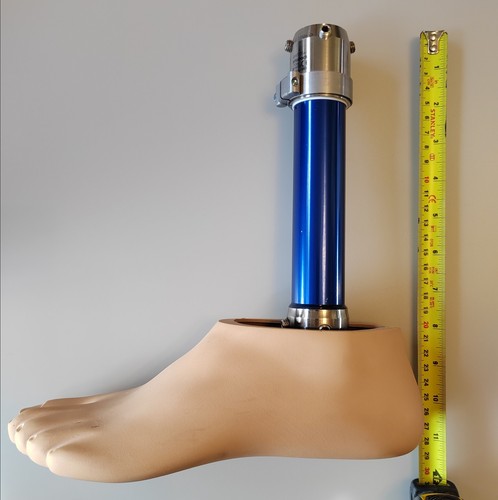 Prosthetic leg for water - prosthetic,