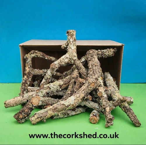 Cork bark branches 5kg box - branches,