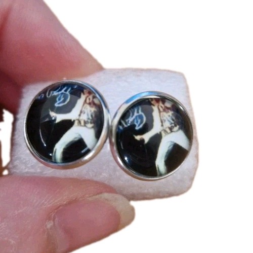 Elvis presley earrings - presley, in