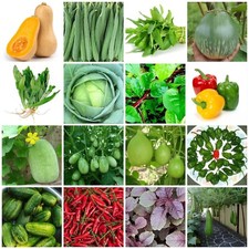 Indian /Asian/ Bangladeshi Vegetable Seeds,Bottle Gourd,Spinach, Lau Karela 2025