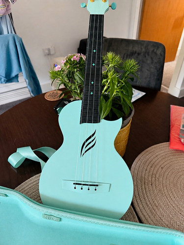 Enya nova concert ukulele - enya,