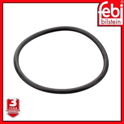Thermostat ring seal washer - thermostat,