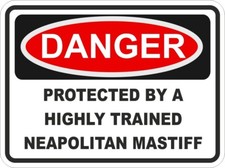 Neapolitan Mastiff Dog Danger