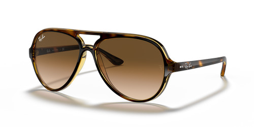 Ray ban cats - cats, classic