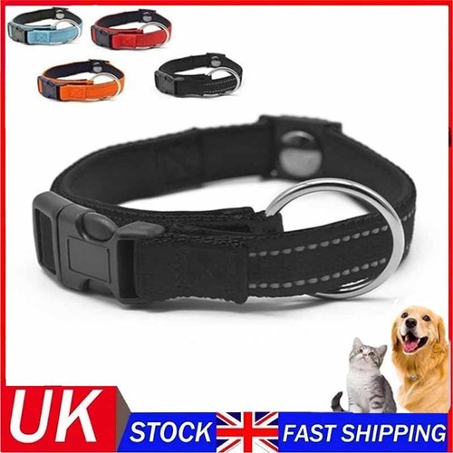 Pawliberation magnetic dog - pawliberation,