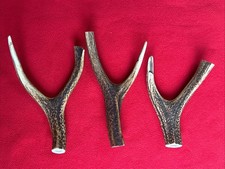 3 PIECES OF SIKA DEER ANTLERS,Y SHAPED FOR SLINGSHOTS, WALKING STICKS ARTS (115)