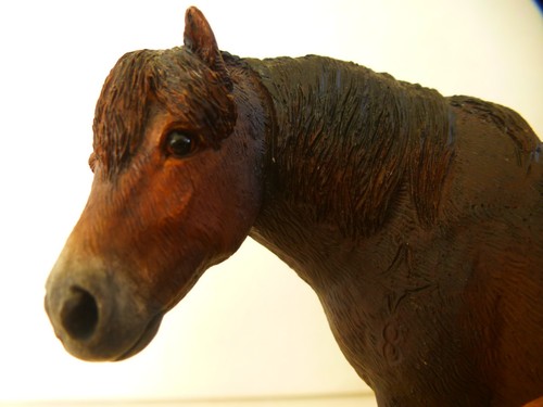 Border fine arts exmoor - border,