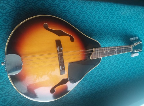 Vintage harmony deep body