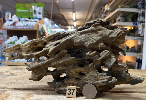 Dragon wood natural aquarium - dragon,