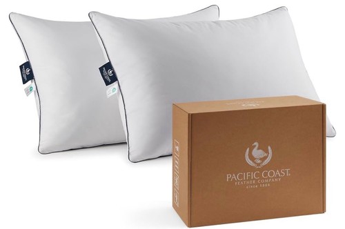 Pacific coast goose - coast, feather