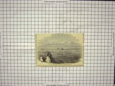 Original Old Antique Print