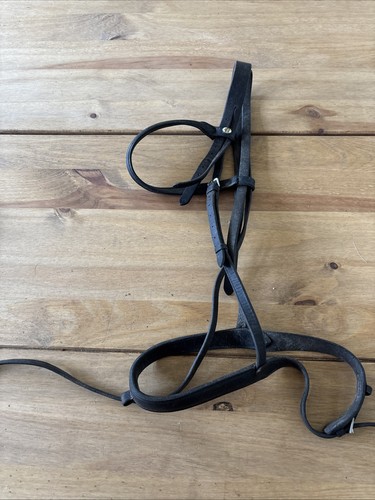 Cob black cliff barnsby - black, bridle