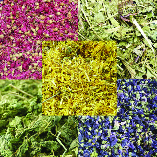 Bunny bistro dried botanical - bistro,