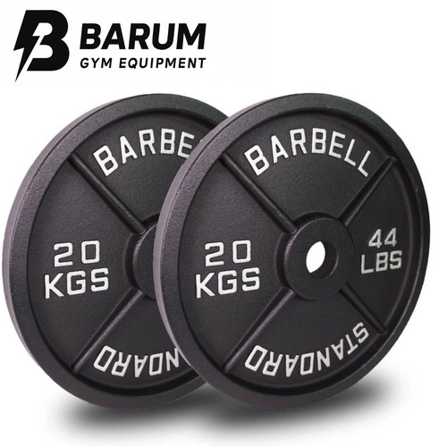 20kg cast iron weight - x,