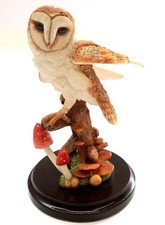 COUNTRY ARTISTS Barn Owl with