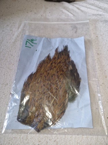Cock cape fly - cock, tying