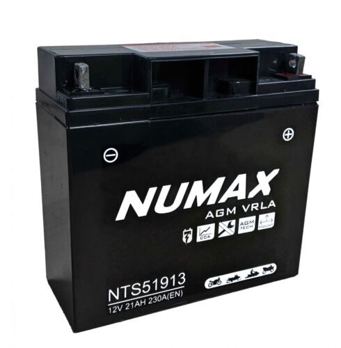 51913 sealed numax - (nts51913),
