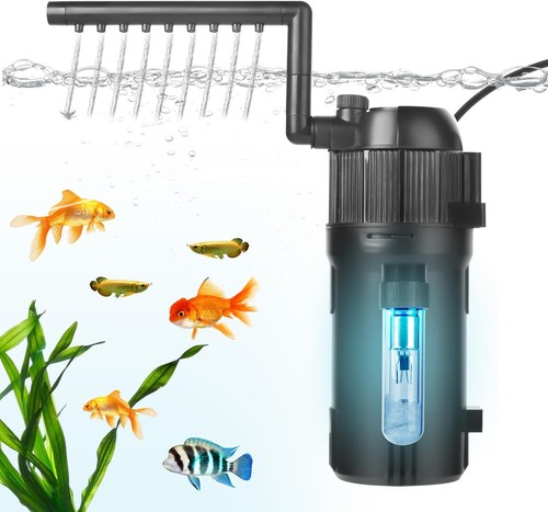 Internal fish tank - fish,