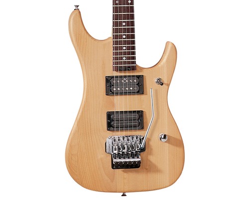 Washburn n2nmk series n24 - washburn, n