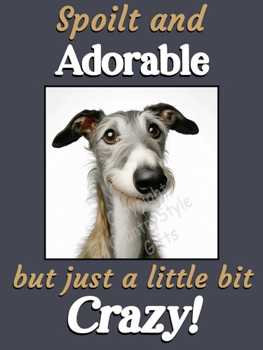 Lurcher greyhound whippet pet - lurcher,
