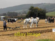 Photo 6x4 Horse ploughing  c2009