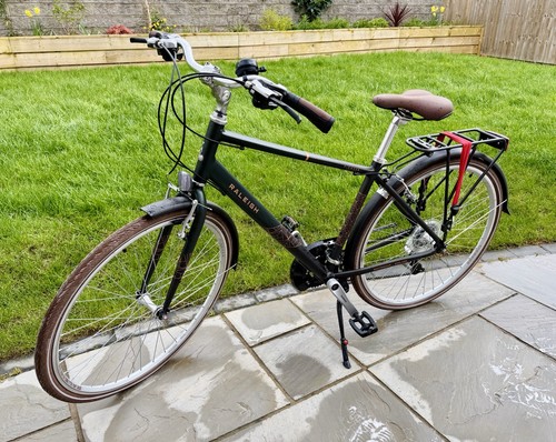 Raleigh pioneer grand - pioneer,