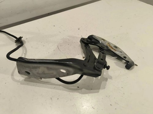Phaeton bonnet hinge - vw,