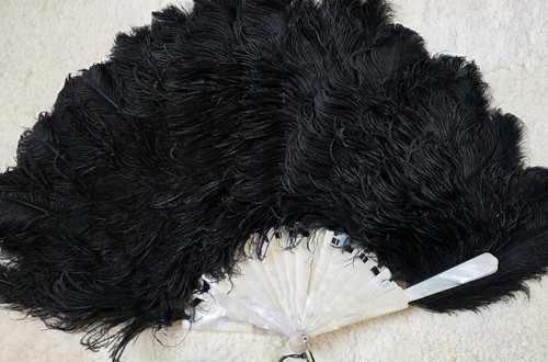 Antique ostrich feather - antique,