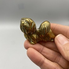 Miniature Pekingese Shih Tzu