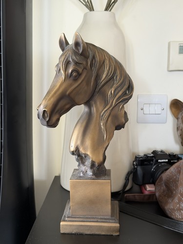 Bronze horse head - horse,