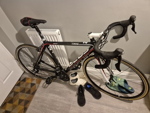 Focus cayo carbon road bike - carbon,